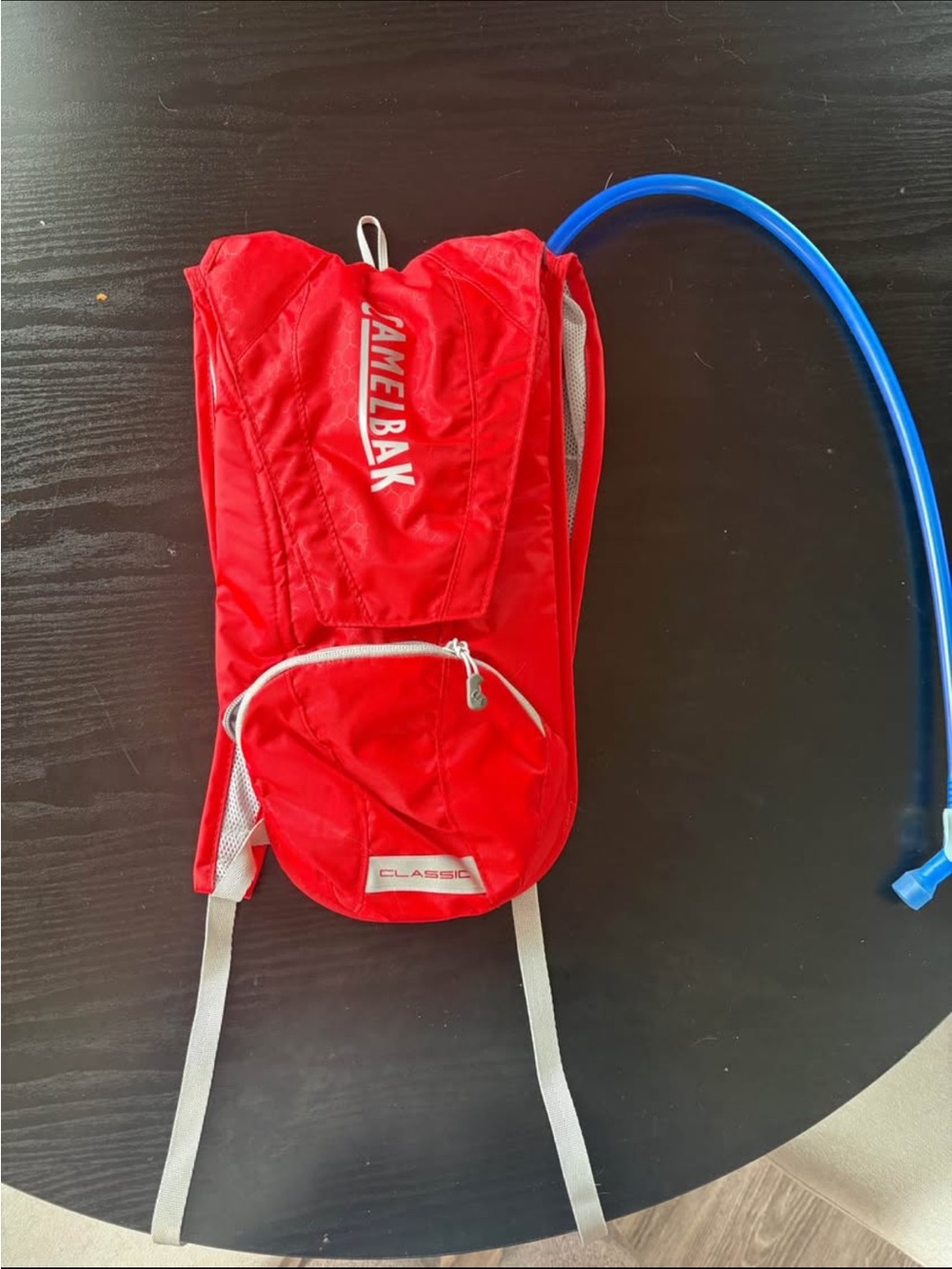CamelBak Red Hydration Pack with Blue Tube